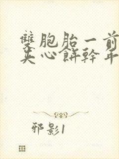 双胞胎一前一后夹心饼干年下