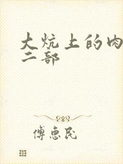 《大炕上的肉伦第二部》小说封面