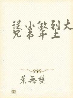 从小做到大骨科兄弟年上