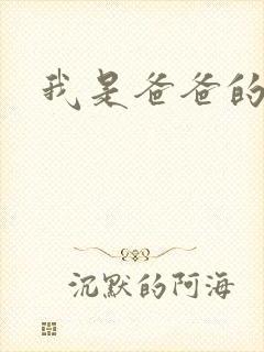 我是爸爸的玩具