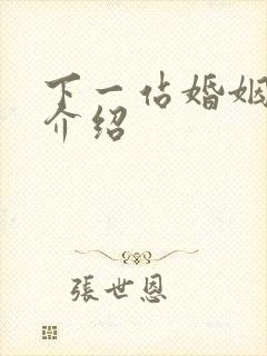 下一站婚姻剧情介绍