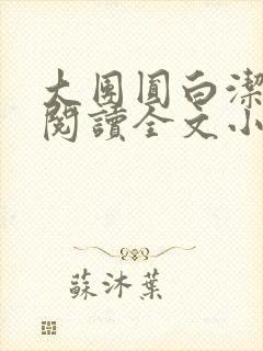 大团圆白洁免费阅读全文小说