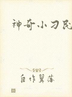 神奇小刁民