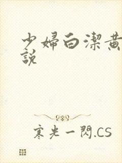 少妇白洁黄色小说