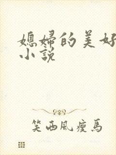 媳妇的美好时代小说