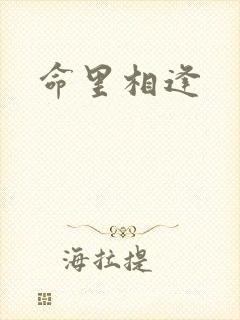 命里相逢