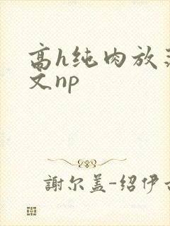 高h纯肉放荡h文np