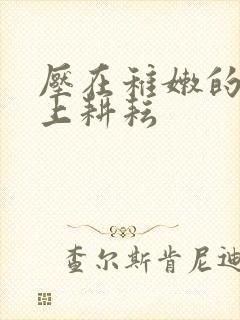 压在稚嫩的身体上耕耘