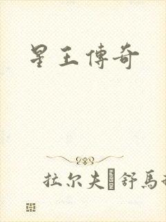 星王传奇