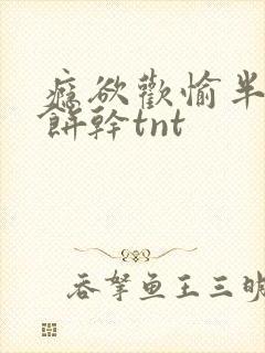 瘾欲欢愉半块小饼干tnt