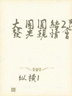 大团圆结2闪闪发光亲情会