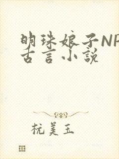 明珠娘子NPC古言小说