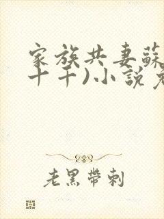 家族共妻苏苏(十千)小说免费