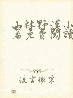 山林野汉小说全篇免费阅读封面