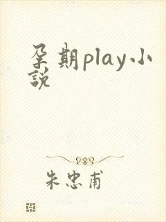 孕期play小说