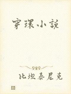 穿环小说