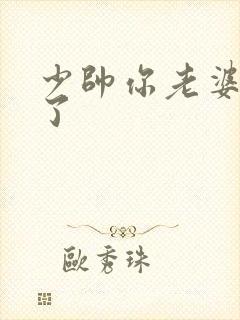 少帅你老婆又跑了