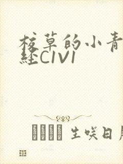 校草的小青梅不经C1V1