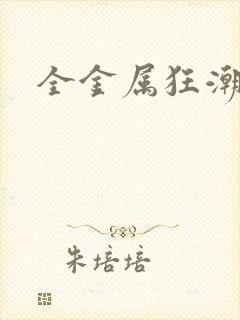 全金属狂潮小说