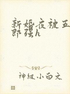 新婚夜被五个伴郎强h