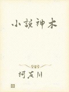 小说神木