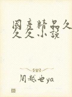 国产精品久久久久久小说