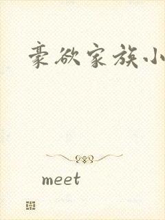 豪欲家族小说