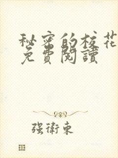 秘密的校花小说免费阅读