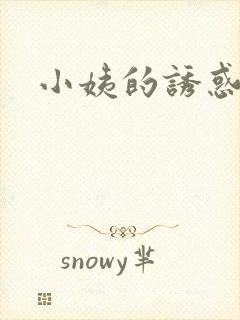 小姨的诱惑小说