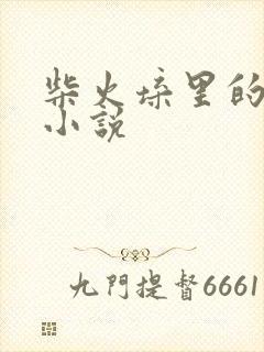 柴火垛里的疯狂小说