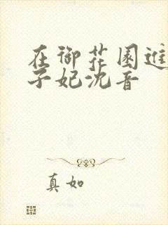 在御花园进入太子妃沈音