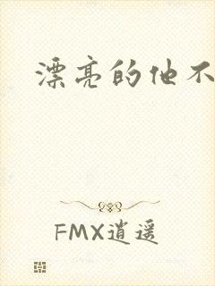 漂亮的他不说话