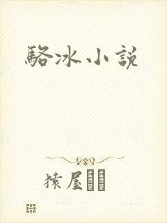 骆冰小说