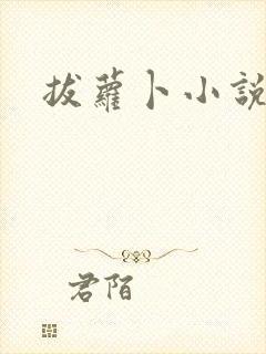 拔萝卜小说封面