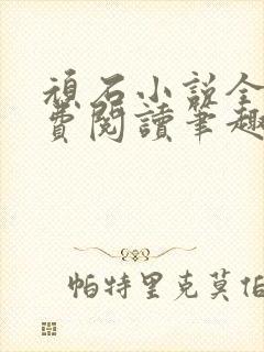 顽石小说全文免费阅读笔趣阁