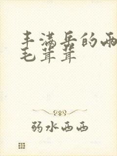 丰满岳的两腿间毛茸茸