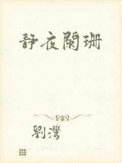 静夜阑珊