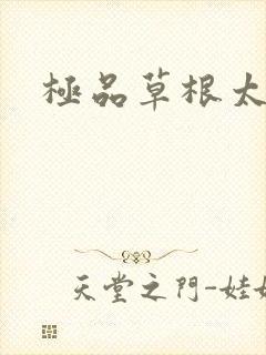 极品草根太子