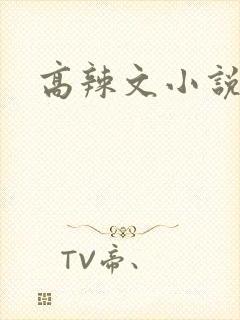 高辣文小说