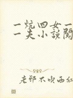 一炕四女一共侍一夫小说阅读