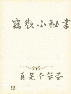 窃欢小秘书