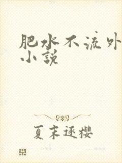 肥水不流外人田小说