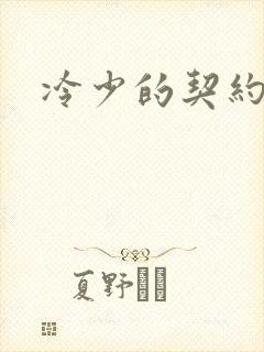 冷少的契约囚奴