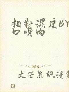 相对湿度BY大口吃肉
