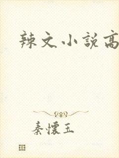 辣文小说高h