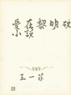 爱在黎明破晓前小说