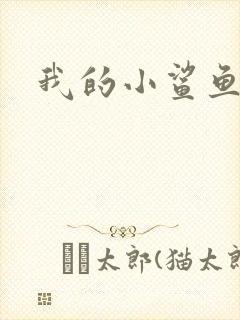 我的小鲨鱼