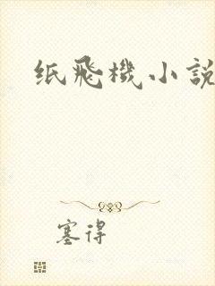 纸飞机小说