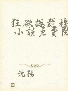 狂欲总裁穆非雪 小说免费阅读