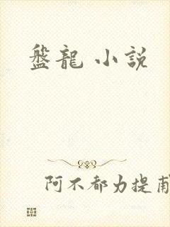 盘龙 小说